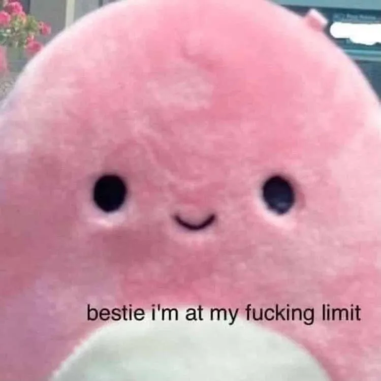 Розовая плюшевая игрушка крупным планом с подписью bestie i am at my fucking limit